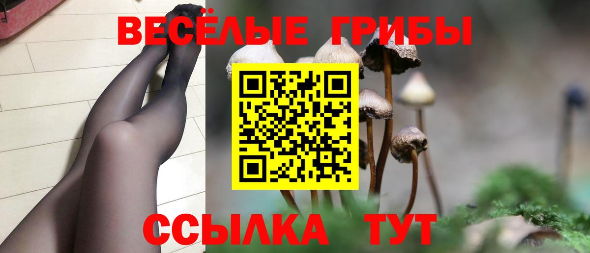 Железногорск  Псилоцибиновые грибы ЛСД  Вход с VPN 